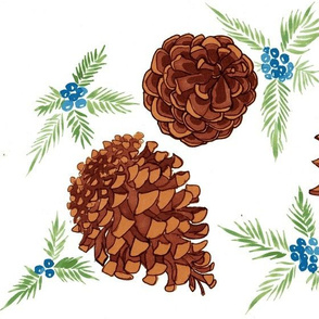 pine cones and juniper