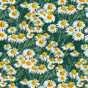 Watercolor Chamomile Meadow (forest green) 7”