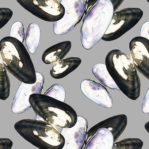 Thick Shelled River Mussels (Unio Crassus) on Gray Background