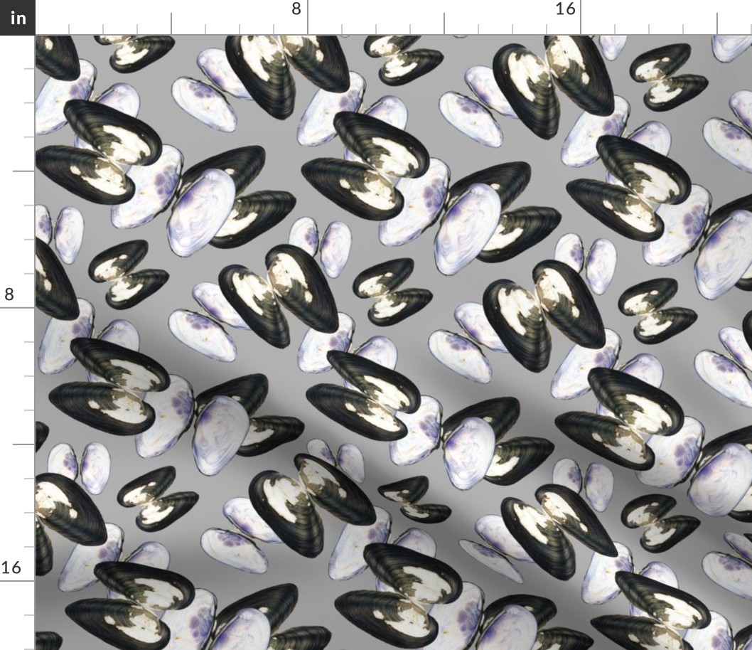 Thick Shelled River Mussels (Unio Crassus) on Gray Background