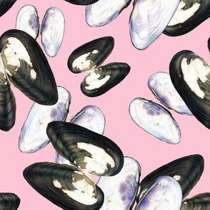 Thick Shelled River Mussels (Unio Crassus) on Pink Background