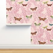 Night Moths {Pale Pink}