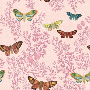 Night Moths {Pale Pink}