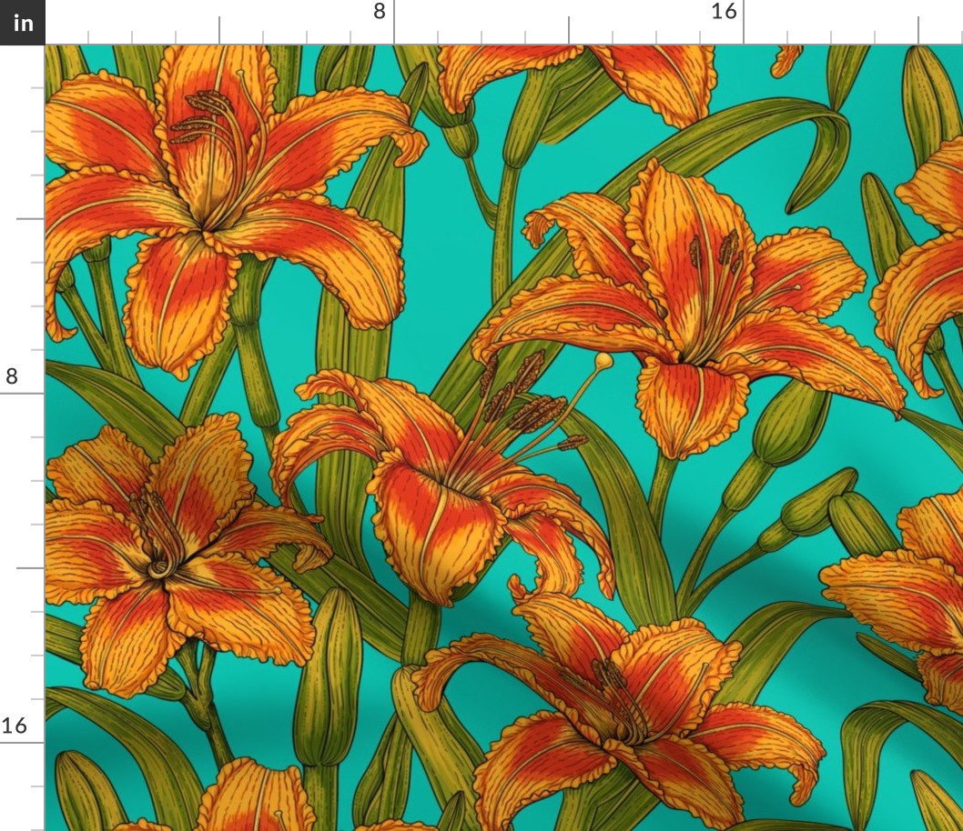 Tawny day-lily flowers, turquoise bg 