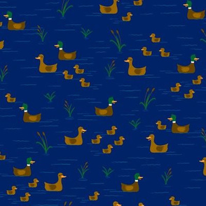 Ducks in a Pond