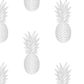 arcadia pineapples - single smoke grey - LAD19