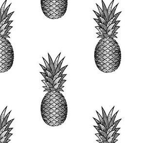 arcadia pineapples - single black - LAD19