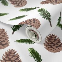 Winter Flora Coordinate - Pine Cones and Branches on White