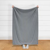 One Inch Naval Blue and Snowbound Vertical Stripes