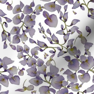 Wisteria Print