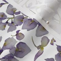 Wisteria Print