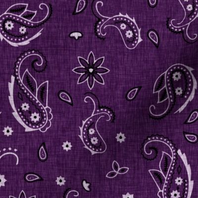 Western Paisley - 7662c