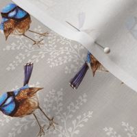 Blue Wrens Russet & Ferns on Natural // 6"