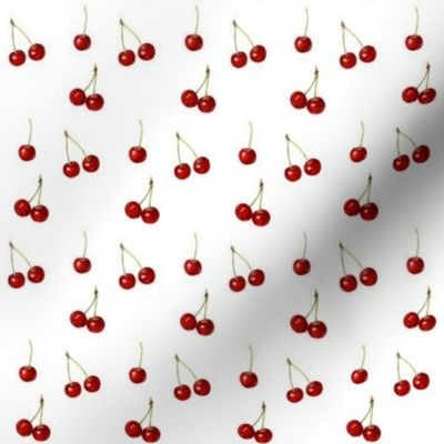 Small scale realistic red cherries on white