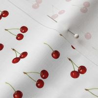 Small scale realistic red cherries on white