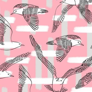 Seagulls (Pink Background)