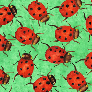 Large Ladybugs