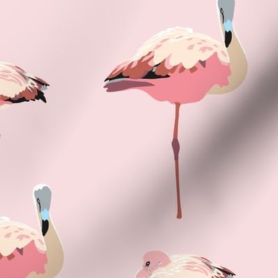 Pink Elegant Realistic Flamingo Bird Pattern