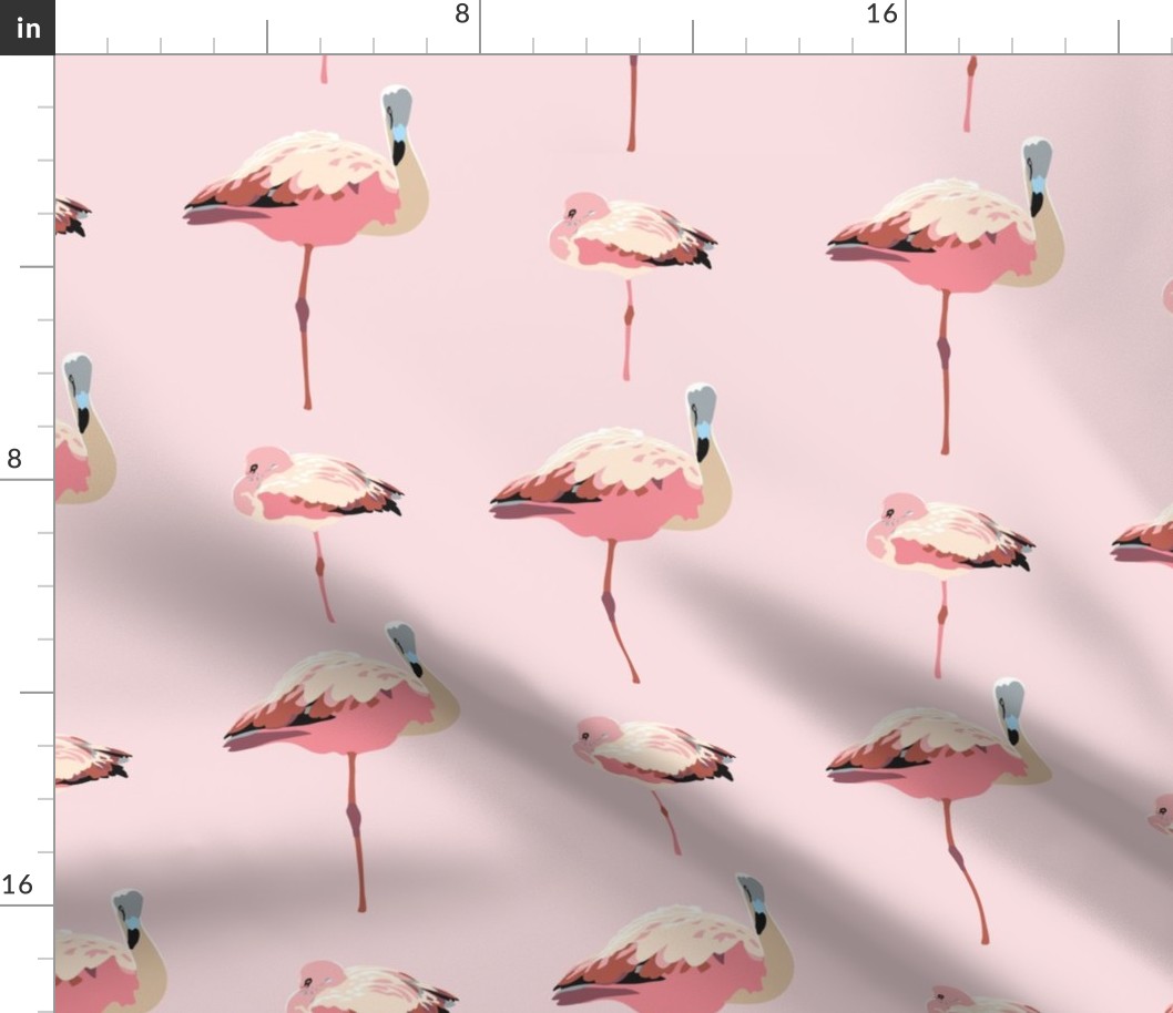 Pink Elegant Realistic Flamingo Bird Pattern