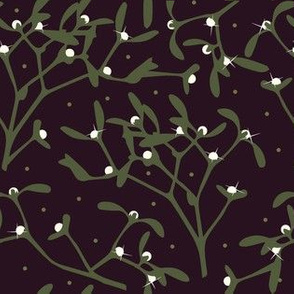 xmas flora | mistletoes