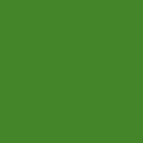 green grass emerald apple kelly solid color quilt blender