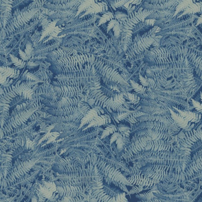 Cyanotype Vining Ferns