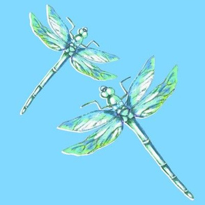 Nana’s Dragonflies