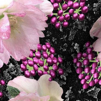 Hellebores and Mulberry Colored Viburnum Berries on Black Frost