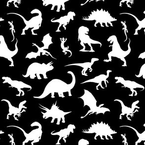 Land of Dinosaurs!  White on black 