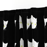 Peek-a-Boo White Cats - white on black