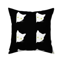 Peek-a-Boo White Cats - white on black