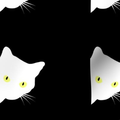 Peek-a-Boo White Cats - white on black