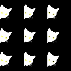 Peek-a-Boo White Cats - white on black