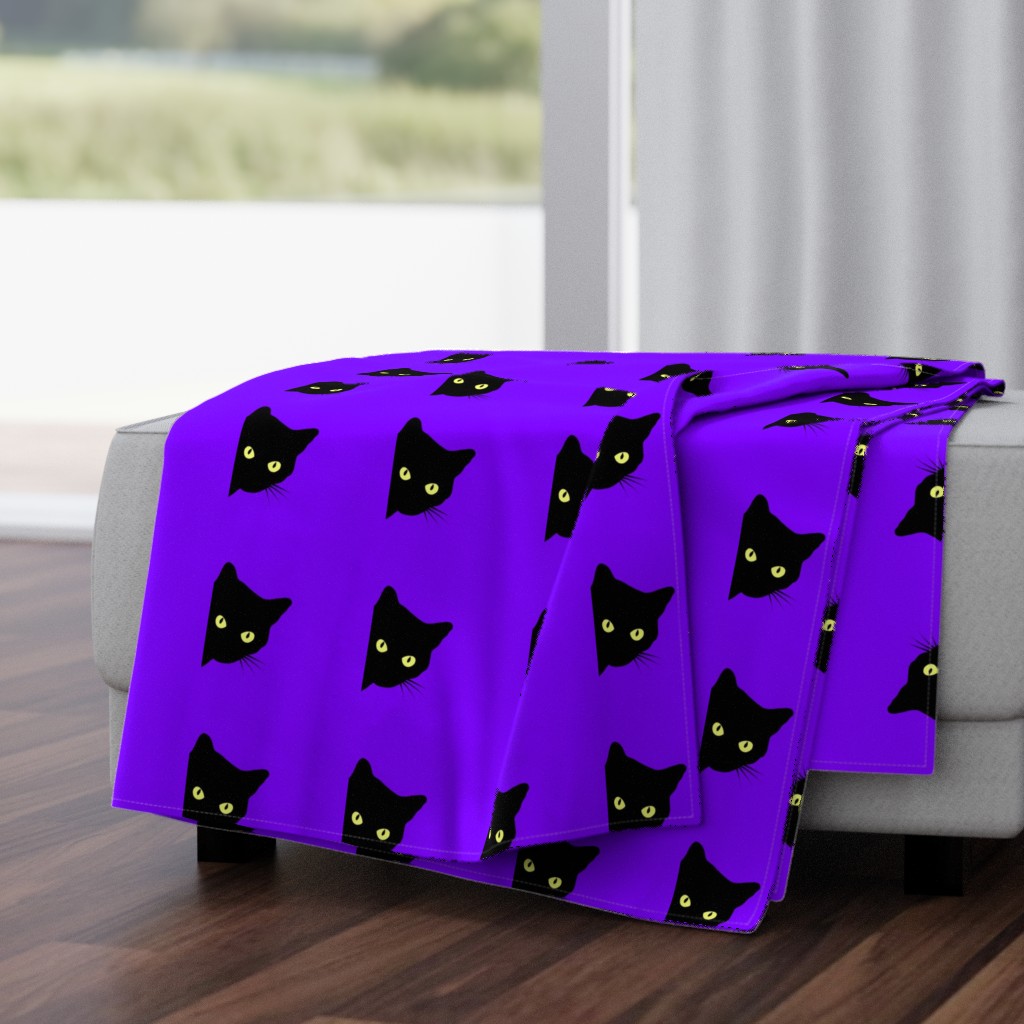 Peek-a-Boo Black Cats - violet purple