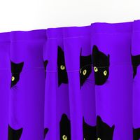 Peek-a-Boo Black Cats - violet purple