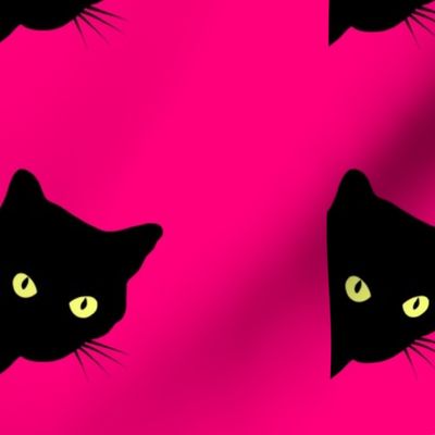 Peek-a-Boo Black Cats - hot pink 