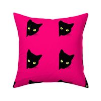 Peek-a-Boo Black Cats - hot pink 