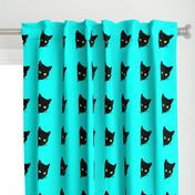 Peek-a-Boo Black Cats - turquoise blue 