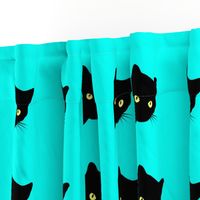 Peek-a-Boo Black Cats - turquoise blue 