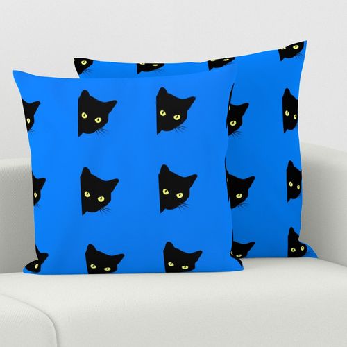 Peek-a-Boo Black Cats - cornflower blue