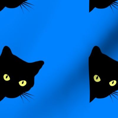 Peek-a-Boo Black Cats - cornflower blue