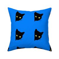 Peek-a-Boo Black Cats - cornflower blue