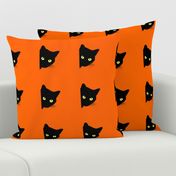 Peek-a-Boo Black Cats - pumpkin orange 