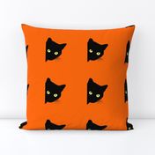 Peek-a-Boo Black Cats - pumpkin orange 