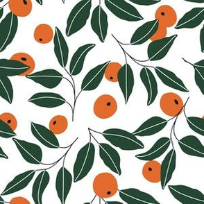 Oranges Pattern