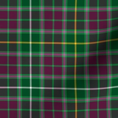 Crosby tartan, 6"