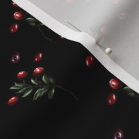Cranberries on black background miniml classic simple and elegant forest floral 
