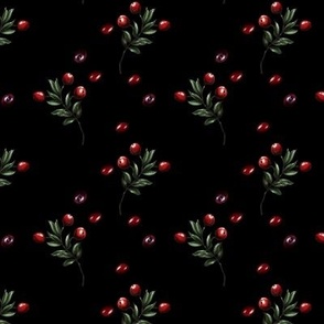 Cranberries on black background miniml classic simple and elegant forest floral 