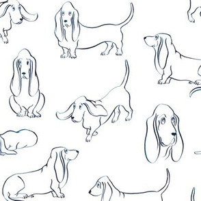 Basset Hounds (White Background)