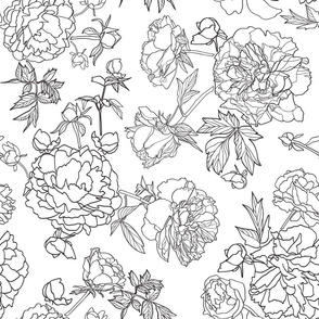 White Elegant Botany Peony Floral Pattern